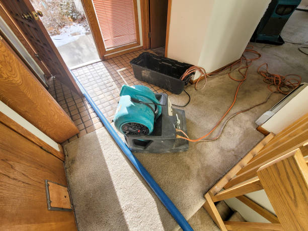 Best Basement water damage restoration  in Newark, IL