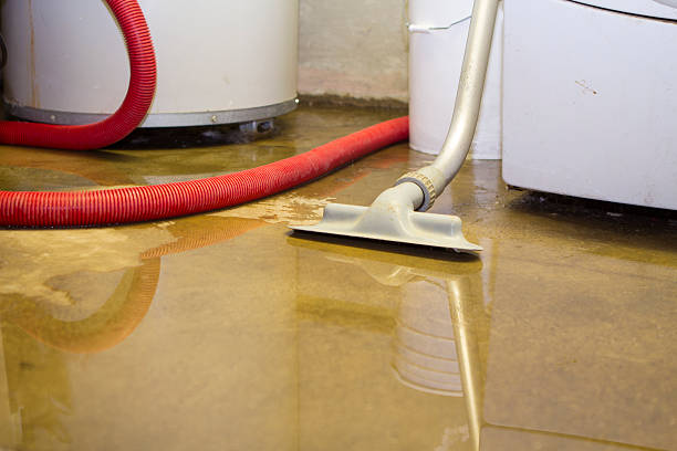 Best Residential water damage restoration  in Newark, IL